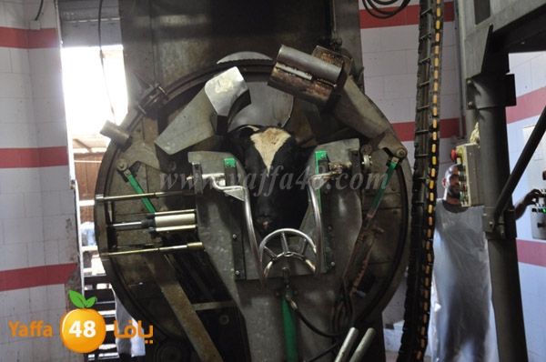 Jam3iya la7m3n (14).JPG